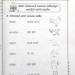 Master Guide Grade 01 Sinhala workbook | Sinhala Medium