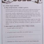 Master Guide Grade 05 Sinhala workbook | Sinhala Medium