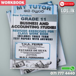 Mytutor Grade 11 Business And Accounting Studies Workbook - English Medium