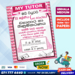 Mytutor Grade 11 Business And Accounting Studies Workbook - Sinhala Medium