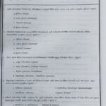 Grade 09 ICT Workbook with Term Test Papers (My Tutor)