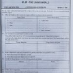 Grade 06 Science Workbook with Term Test Papers (My Tutor) | English Medium