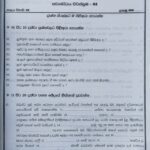 Grade 08 Catholicism Workbook with Term Test Papers (My Tutor)