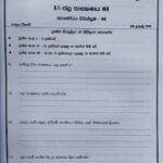 Grade 08 History Workbook with Term Test Papers (My Tutor)