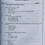 Grade 08 PTS Workbook with Term Test Papers (My Tutor)