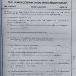 Grade 08 Science Workbook 02 with Term Test Papers (My Tutor) | English Medium