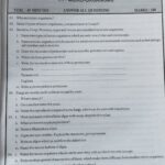 Grade 09 Science Workbook with Term Test Papers (My Tutor) | English Medium