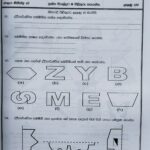 Grade 07 Maths Workbook with Term Test Papers (My Tutor)