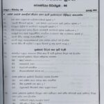 Grade 07 Sinhala Workbook with Term Test Papers (My Tutor)