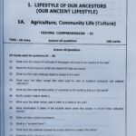 Grade 07 History Workbook with Term Test Papers (My Tutor) | English Medium