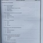 Grade 07 Science Workbook with Term Test Papers (My Tutor) | English Medium