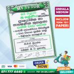 Grade 08 PTS Workbook with Term Test Papers (My Tutor)