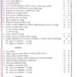 Master Guide Grade 08 Drama workbook | Sinhala Medium