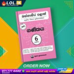 Buy Western Province Grade 06 Maths Papers Book