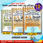 Grade 13 Commerce Revision Book Pack - My Tutor Publications