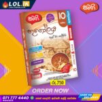 Grade 10 Geography Revision Book | Samagi Publishers