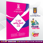 Grade 12 Economics Provincial Papers Book(01)