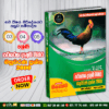 3, 4, 5 Grades - Parisaraya "Denum Mihira" 2000 MCQ Book | M.D. Gunasena Publication