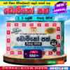 2 & 3 Grades Domino Cards (Addition) | DMS Publication