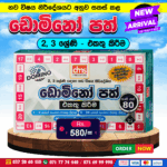 2 & 3 Grades Domino Cards (Addition) | DMS Publication