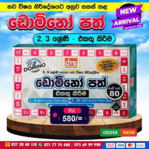 2 & 3 Grades Domino Cards (Addition) | DMS Publication
