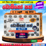 2 & 3 Grades Domino Cards (Subtraction) | DMS Publication