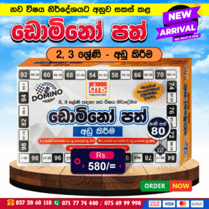 2 & 3 Grades Domino Cards (Subtraction) | DMS Publication