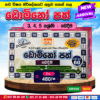 3, 4 & 5 Grades Domino Cards (Division) | DMS Publication