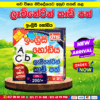 Laminating Cards – English Alphabet | DMS Publication