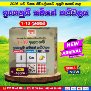 Grade 1 – Numbers Learning Resource Set | DMS Publication