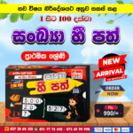 Primary Grades Sankhya Hi Path | DMS Publication