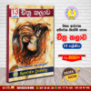 Grade 13 - Art (චිත්‍ර කලාව) | Supplementary Reading Book | Wasana Publication