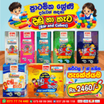 Bar and Cubes Pack for Primary Students | DMS Publications