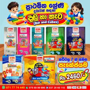 Bar and Cubes Pack for Primary Students | DMS Publications