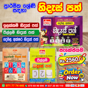 Hides Path Cards for Primary Students | DMS Publications