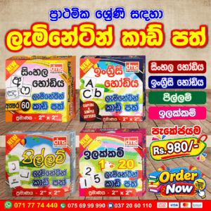 Laminated Cards Pack for Primary Students | DMS Publications